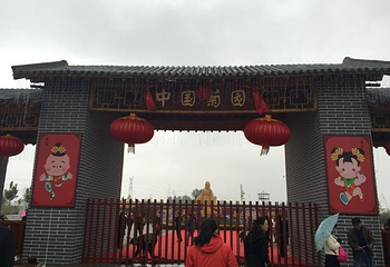 中国菊园第 4 张图片