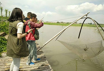 大唐湿地乐园第 3 张图片