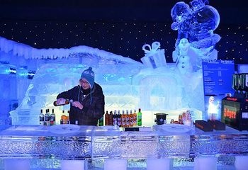 自贡·哈尔滨冰雪嘉年华第 4 张图片
