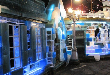 自贡·哈尔滨冰雪嘉年华第 8 张图片