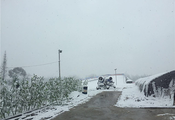 台儿庄水上冰雪游乐园第 2 张图片
