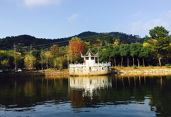 花乡茶谷旅游景区第 10 张图片