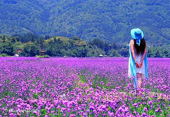 荔波四季花海第 5 张图片