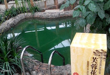 金孔雀温泉欢乐水世界第 2 张图片