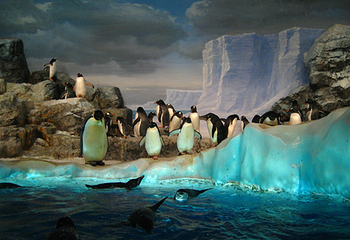 名古屋港水族馆第 4 张图片
