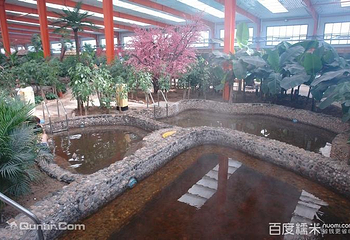 金孔雀温泉欢乐水世界第 5 张图片