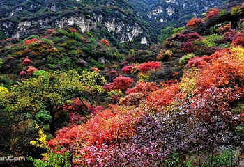 白银坨旅游风景区第 4 张图片