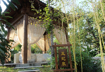 秦岭上王凤凰温泉第 21 张图片