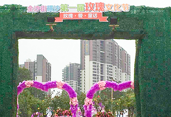 广州金沙洲横沙玫瑰文化节第 6 张图片