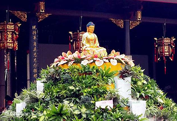 开元寺第 4 张图片