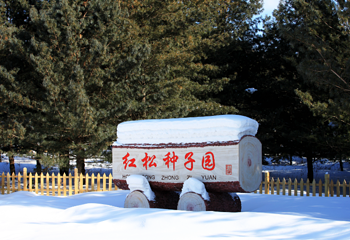 亚布力虎峰岭风景区第 13 张图片