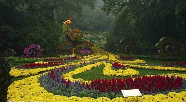 麻城市黄土岗菊花园