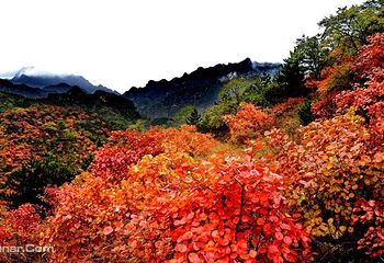 白银坨旅游风景区第 6 张图片