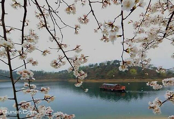 武宁花源谷第 9 张图片