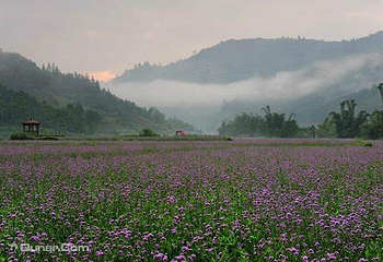 荔波四季花海第 8 张图片