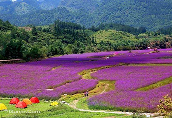 荔波四季花海第 4 张图片
