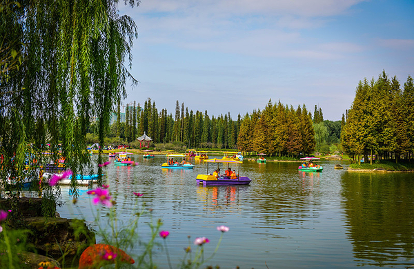 秀丽东方灯幻世界成人票