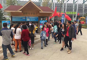 植物园冰雕大世界第 7 张图片