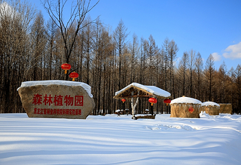 亚布力虎峰岭风景区第 12 张图片