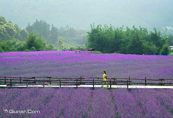 荔波四季花海第 2 张图片