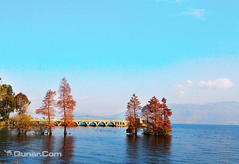 海舌生态公园第 6 张图片