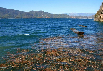 泸沽三岛第 3 张图片