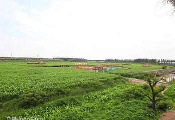 红高粱影视城第 32 张图片