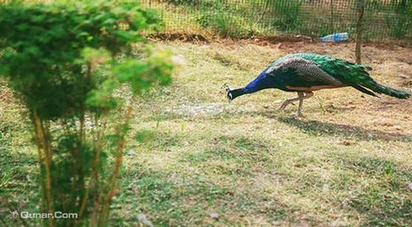 武汉木兰叮当蝴蝶谷