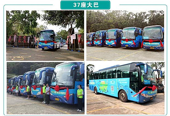 厦门旅游直通车第 12 张图片