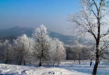 平山神鹿滑雪场第 3 张图片