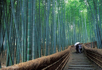 岚山第 24 张图片