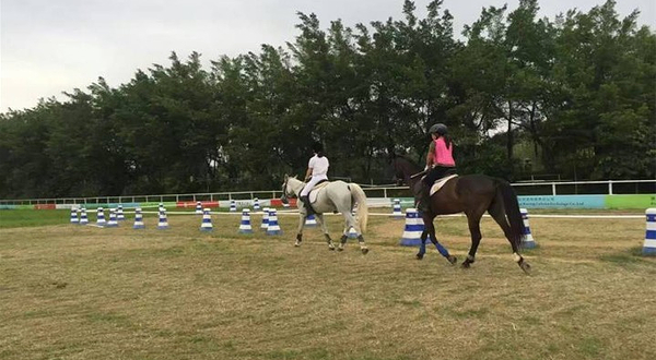 群英会马术俱乐部