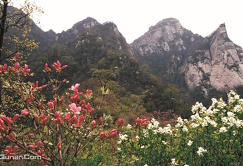 桐柏山淮源风景区第 12 张图片