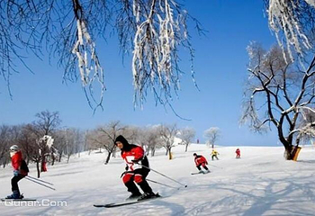 平山神鹿滑雪场第 9 张图片