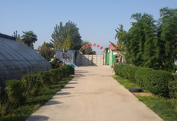 笑非开心农场第 1 张图片