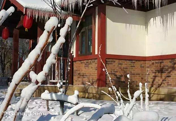 菩提雪乡第 3 张图片