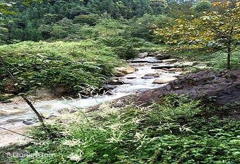 农夫山泉峨眉山工业旅游示范基地第 4 张图片