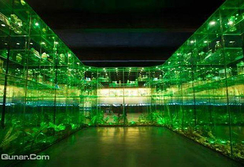 中国虫草博物馆第 4 张图片