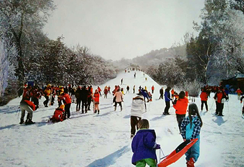 莱芜雪野迷你滑雪场第 1 张图片