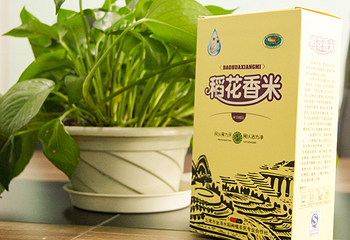 五常大米第 3 张图片