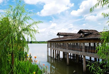 华阳湖国家湿地公园第 24 张图片