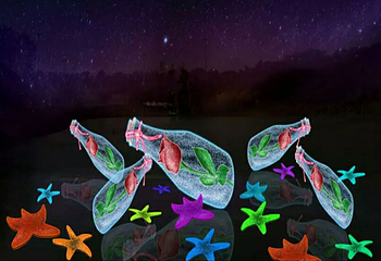 南京珍珠泉爱情城堡光影狂欢节第 3 张图片