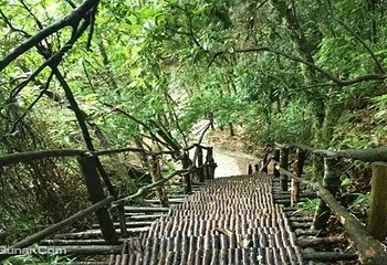 三分石景区第 24 张图片