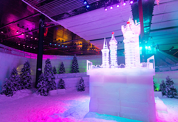 侏罗纪冰雪乐园(横岗店)第 23 张图片