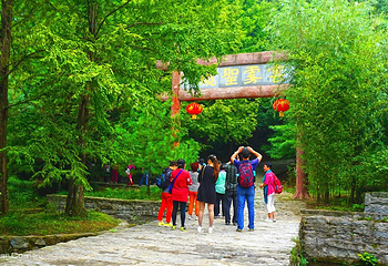 云雾山风景区第 8 张图片