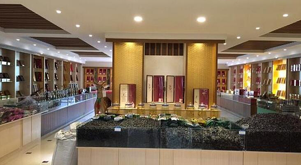 长白山野山参生态园