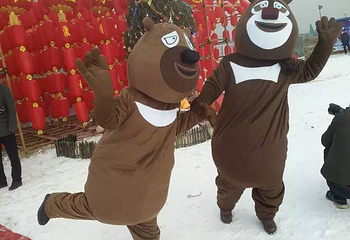 庄河红星冰雪乐园第 6 张图片