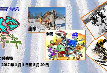 保定体育场冰雪嘉年华第 9 张图片