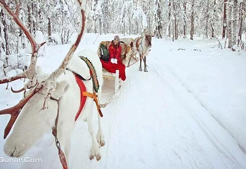潍坊德乐堡冰雪圣诞嘉年华第 1 张图片