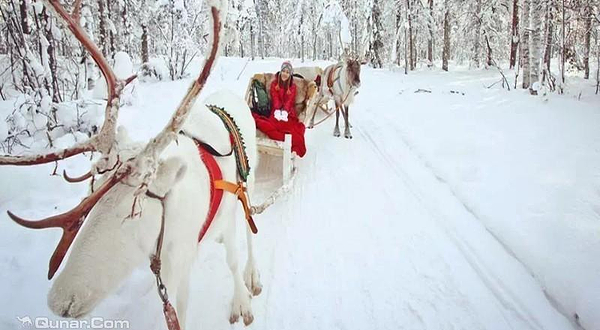 潍坊德乐堡冰雪圣诞嘉年华